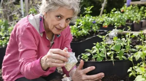 Ne faites pas comme la plupart des jardiniers : ces semis de mars qu’on oublie toujours au potager