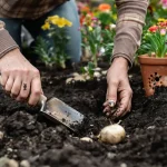 Ces bulbes à planter en avril avant qu’il ne soit trop tard, pour un jardin fleuri tout l’été